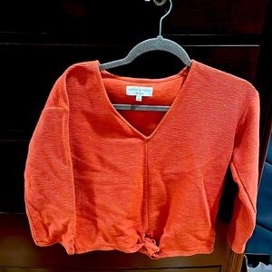 Madewell V-Neck sweater